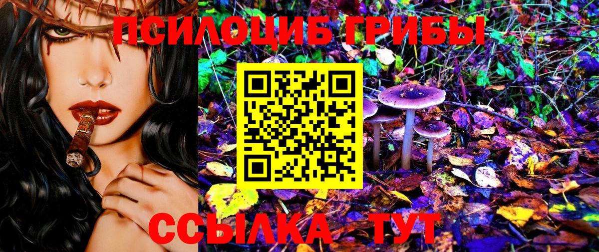 Галлюциногенные грибы Psilocybine cubensis  Вход с VPN  Солнечногорск  Псилоцибиновые грибы Cubensis 